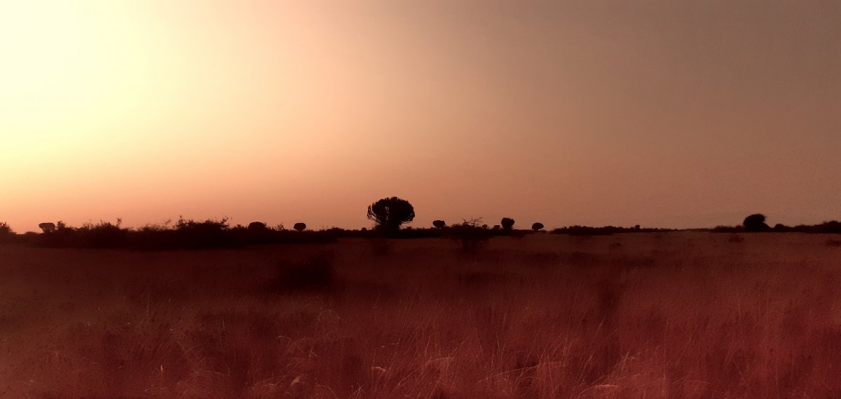 Queen_Elizabeth_National_Park_12.jpg