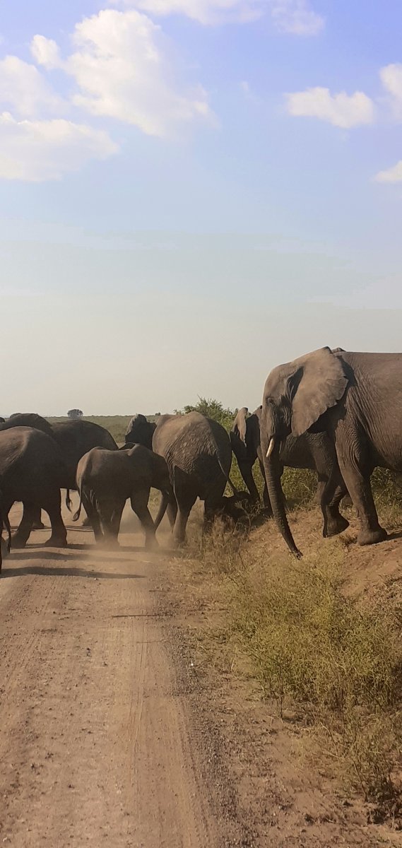 Queen_Elizabeth_National_Park_6.jpg